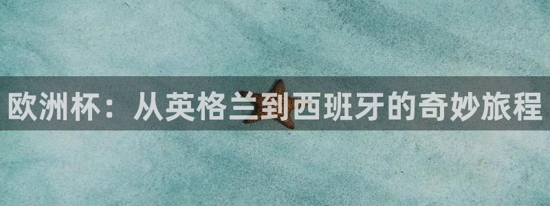 免费看足球直播比赛：欧洲杯：从英格兰到西班牙的奇妙旅程
