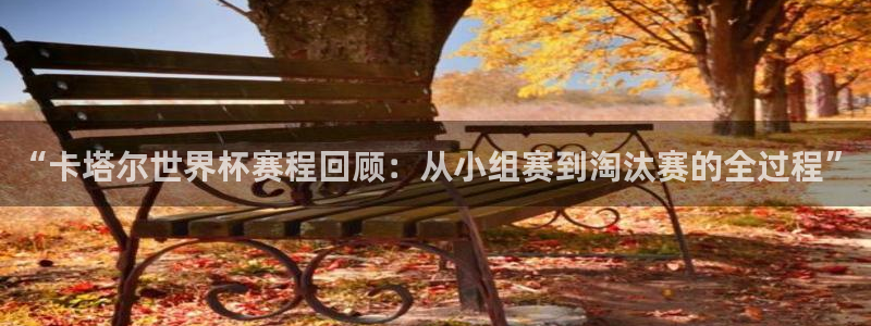 2026世界杯对阵图：“卡塔尔世界杯赛程回顾：从小组赛到淘汰赛的全过程”