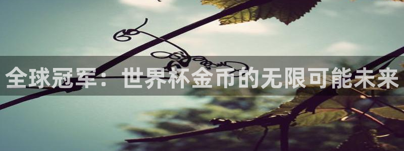 世界杯预选赛赛程表：全球冠军：世界杯金币的无限可能未来