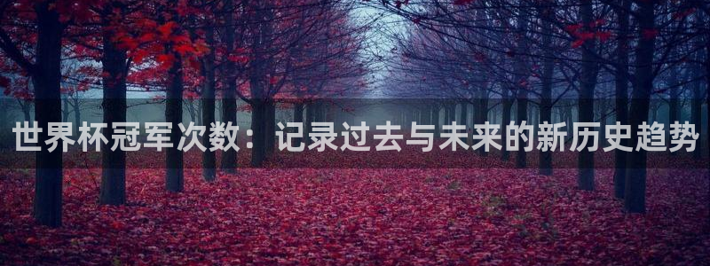 2026世界杯赛程：世界杯冠军次数：记录过去与未来的新历史趋势