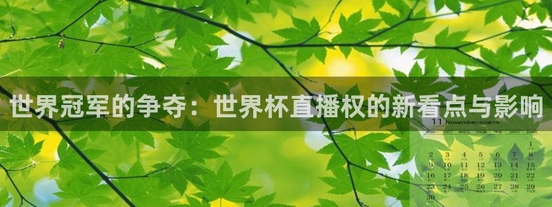 世界杯直播时间：世界冠军的争夺：世界杯直播权的新看点与影响