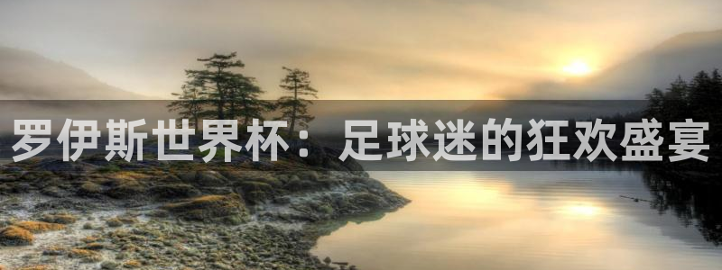 世界杯直播免费观看：罗伊斯世界杯：足球迷的狂欢盛宴