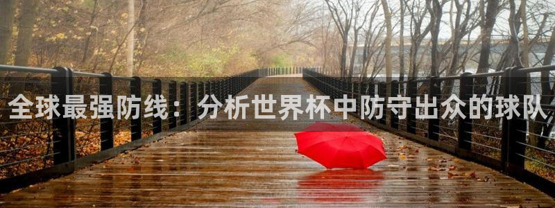 2026年世界杯时间表：全球最强防线：分析世界杯中防守出众的球队