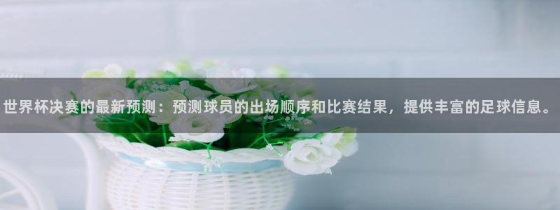 世界杯比赛赛程：世界杯决赛的最新预测：预测球员的出场顺序和比赛结果，提供丰富的足球信息。