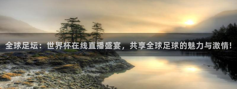 世界杯在线直播：全球足坛：世界杯在线直播盛宴，共享全球足球的魅力与激情!