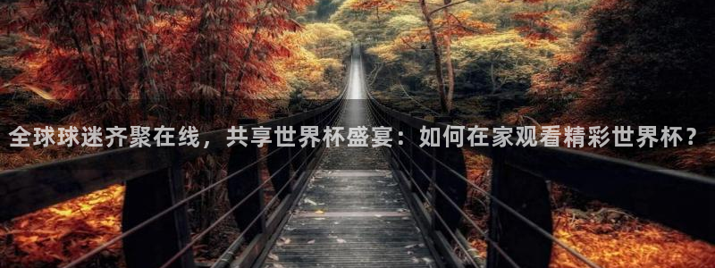 亚洲杯比赛直播：全球球迷齐聚在线，共享世界杯盛宴：如何在家观看精彩世界杯？
