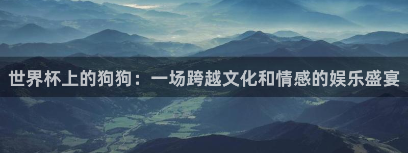 世界杯欧洲预选赛：世界杯上的狗狗：一场跨越文化和情感的娱乐盛宴