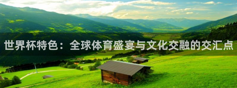 葡萄牙世界杯赛程：世界杯特色：全球体育盛宴与文化交融的交汇点