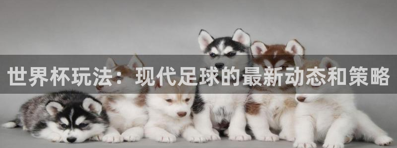今年世界杯：世界杯玩法：现代足球的最新动态和策略