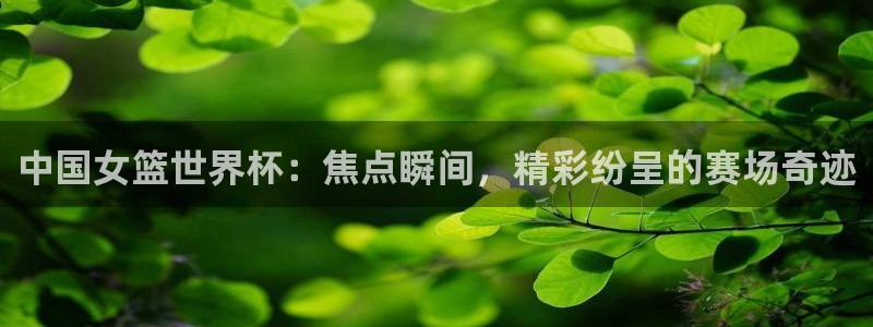 世界杯预选赛欧洲赛区赛程：中国女篮世界杯：焦点瞬间，精彩纷呈的赛场奇迹